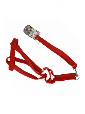 A Tasması Ve Göğüs Tasması Takımı Kırmızı 20 Mm 120 Cm