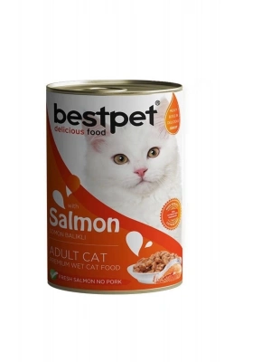 Bestpet Somonlu Jöleli Yetişkin Konserve Kedi Maması 400 Gr