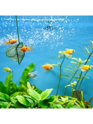 Akvaryum Balık Kepçesi 7.5 Cm.