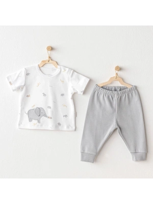 Andywawa AC25809 Little King 2Li Takım Grey