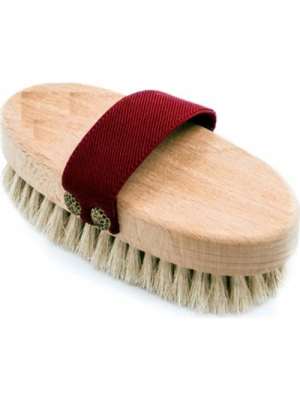 At Kılı Elbise Fırçası