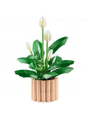 Barış Çiçeği 11504