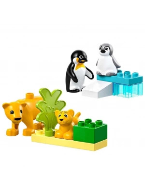 ®  Kasabası Vahşi Hayvan Aileleri: Penguenler ve Aslanlar 10442