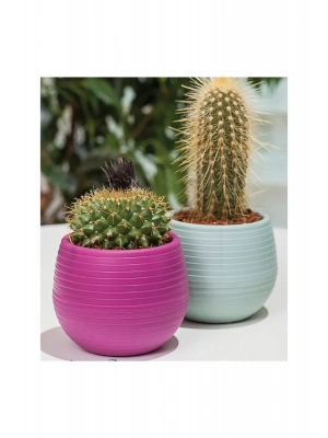 Bitki Ve Kaktüs Saksısı 0,13 Lt 1 No Royaleks-ES01