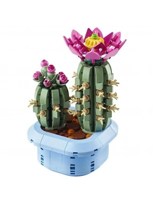 Çiçekli Kaktüs 11509