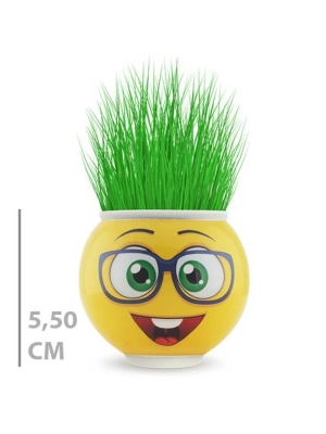 Çim Adam Saksı Emoji Figürlü 1 Adet