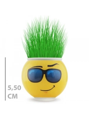 Çim Adam Saksı Emoji Figürlü 1 Adet