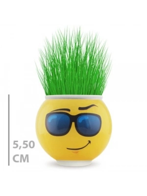 Çim Adam Saksı Emoji Figürlü 1 Adet