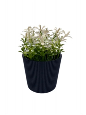 Çizgili Yuvarlak Saksı Çiçek Royaleks-5706