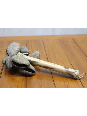 Coconat Sarkaçli Marakas Dıarta:2