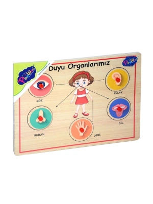 ÇOK SATAN 166/167 Onyıl, Ahşap Tutmalı Organlar