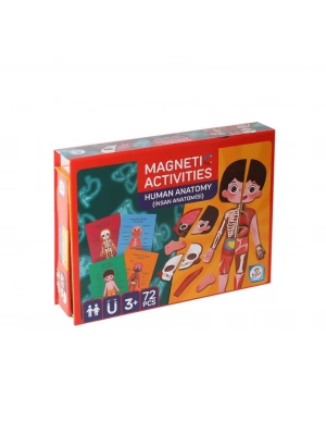 ® LC986ManyetikAktiviteİnsanAnatomisi-