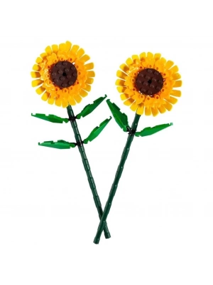 ® Iconic Ayçiçeği 40524