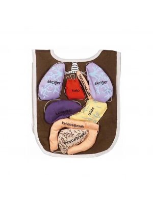 ® AND-5011 ORGAN ÖNLÜĞÜ