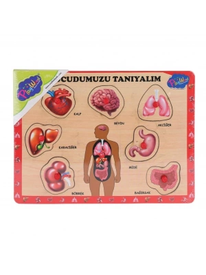 ® ONY-287 288 Ahşap Tutmalı Vücumuzu Tanıyalım -