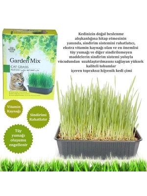 ÇOK SATAN Garden Mix Kedi Çimi