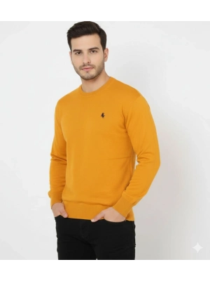 Bisiklet Yaka Nakış işlemeli Triko Kazak yumuşak dokulu Pamuklu ince Dokuma, uzun kollu Rahat Regular kalıp - Turuncu