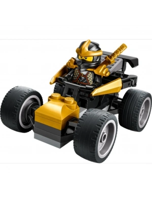 Cole’un Arabası 30723