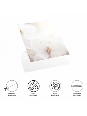 Decohandy 30x30 Cm Pvc Duvar Karosu 4Lü Paket - Japon Çiçeği