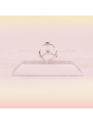 ®  Dekoratif Masa Üstü Obje Manyetik Kinetik Orbital Dönen Yunuslar