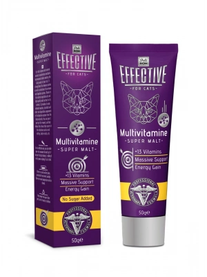 Delibon Effective Kedi Multivitamin 100 g