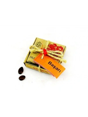 Dilek Tohumları - Başarı