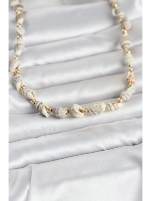 Doğal Deniz Kabuğu Dizi Kadın Kolye