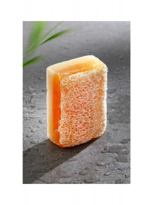 Doğal Kabak Lifli Eşek Sütü Sabunu