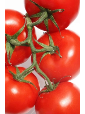 Domates Tohumu Falcon 5 Gr