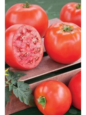 Domates Tohumu H.2274 5 Gr