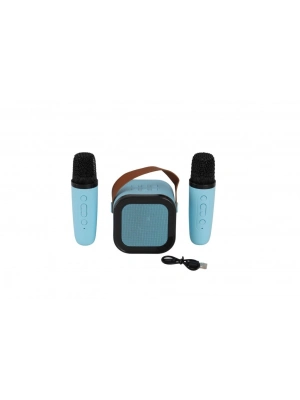 EMR-102 KUTULU 2Lİ KARAOKE MİKROFON