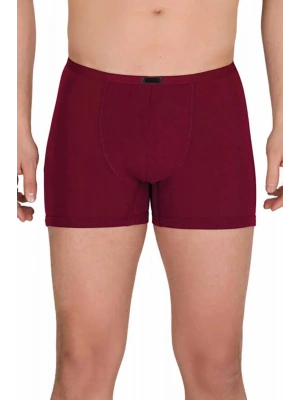 Erkek Modal Boxer Short Bordo 4488B