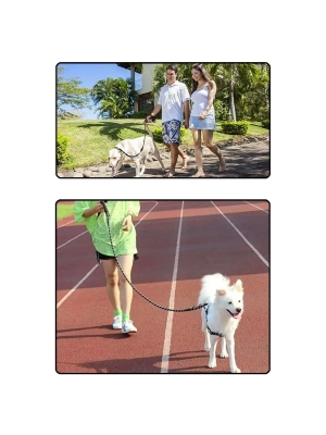 Evcil Hayvan Reflektörlü Fitil Gezdirme Tasması 8 mm x 120 cm