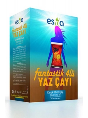 Fantastik 4 Lü Yaz Çayı 45 Li.