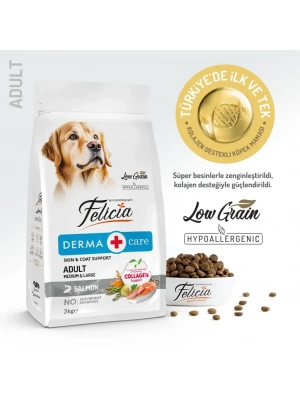 Felicia Düşük Tahıllı Hipoalerjenik Somonlu Orta ve Büyük Irk Yetişkin Köpek Maması 3 Kg