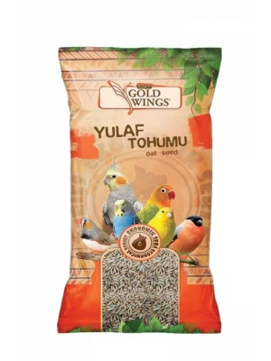 Gold Wings Yulaf 300 Gr 20li