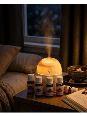 HAVA NEMLENDİRİCİ