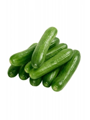 Hıyar Tohumu 20 Gr