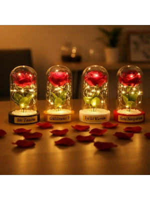 İncili Ledli Gül Fanus