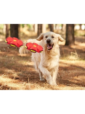 Işıklı Zıplayan Frizbi Evcil Hayvan Topu