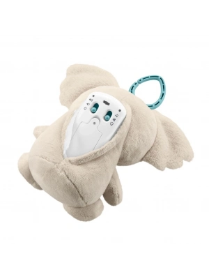 JBD65  Koala Arkadaşım