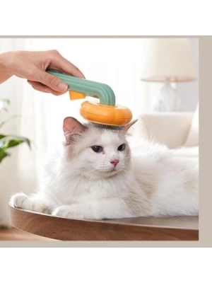 Kabak Tasarımlı Evcil Hayvan Tarağı