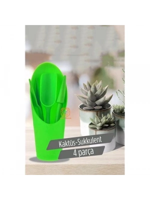 Kaktüs Sukkulent Dikim Seti 720516