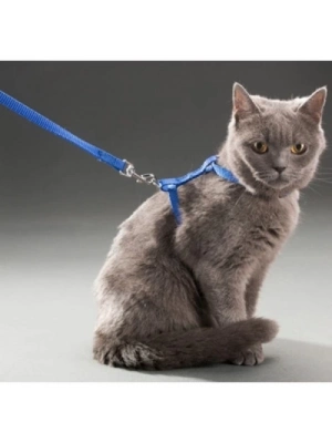 Kedi Boyun ve Göğüs Tasması