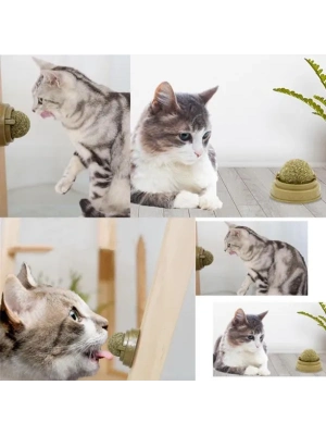 Kedi Nanesi Oyun Topu