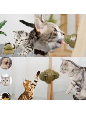 Kedi Nanesi Oyun Topu