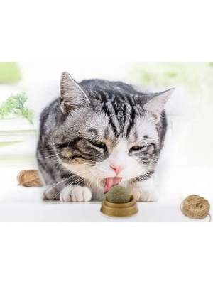 Kedi Otu Oyun Topu Cat Mint