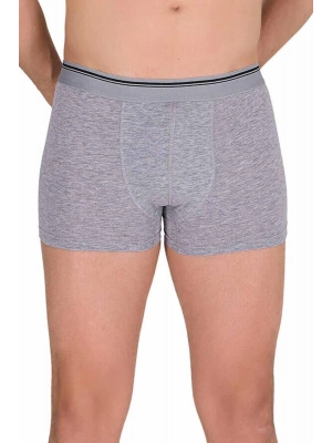 Likralı Erkek Boxer Şort Gri 1097B