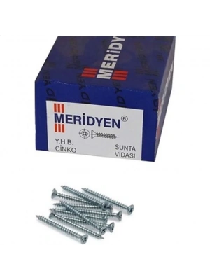MERİDYEN SUNTA VİDASI 6.0X70 MM 15 ADET