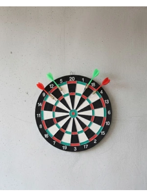 ® 17 İnç Profesyonel Dart Tahtası Dayanıklı Yapı ve 4 Metal Dart Oku